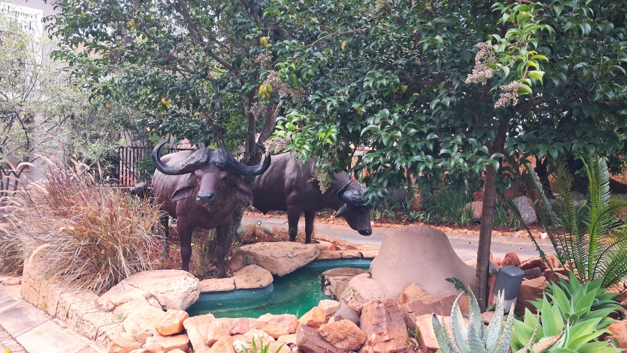 4 Bedroom Property for Sale in Buffelspoort Eco Estate North West